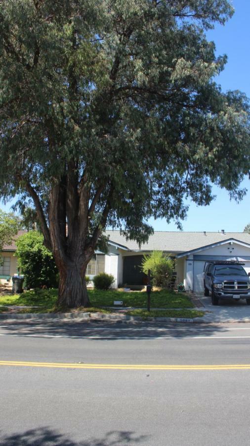 Mark'S Poolside Retreat Apartment San Jose Exterior foto