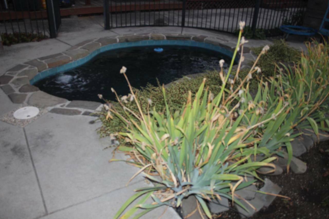 Mark'S Poolside Retreat Apartment San Jose Exterior foto